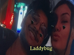Laddybug