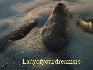 Ladyofyourdreams19