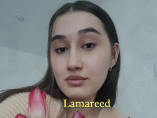 Lamareed