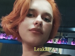 Leakai