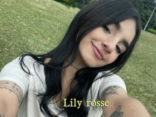 Lily_rosse