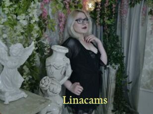 Linacams