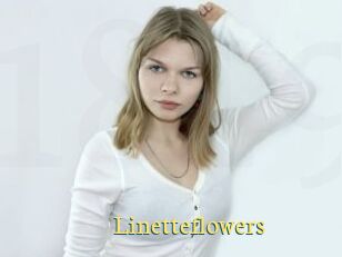 Linetteflowers