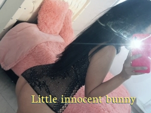Little_innocent_bunny