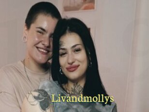 Livandmollys