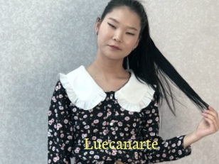Luecanarte