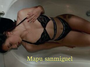 Mapu_sanmiguel
