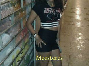 Meesteres
