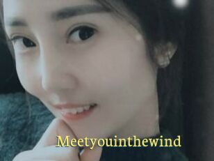 Meetyouinthewind
