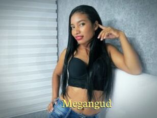 Megangud