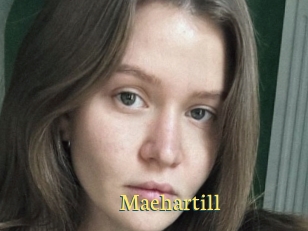 Maehartill