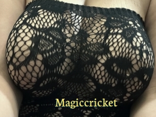 Magiccricket