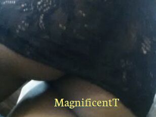 MagnificentT