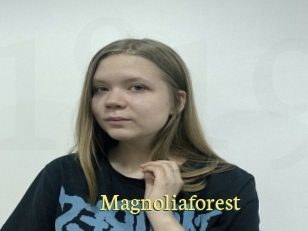 Magnoliaforest
