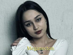Meganecton