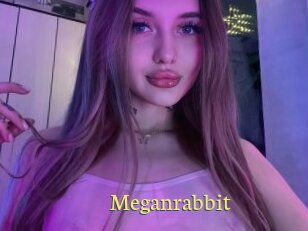 Meganrabbit