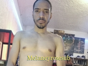 Melaneyrosesub