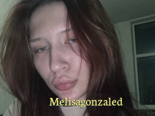 Melisagonzaled