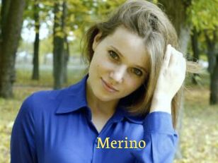 Merino