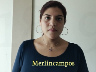 Merlincampos