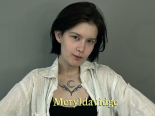 Meryldavidge