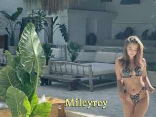 Mileyrey