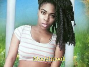 Modelmook
