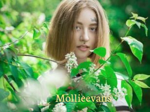 Mollieevans