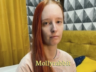 Mollyrabbit