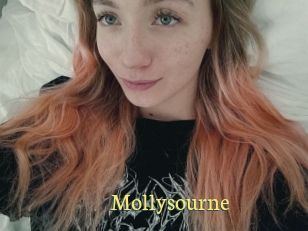 Mollysourne