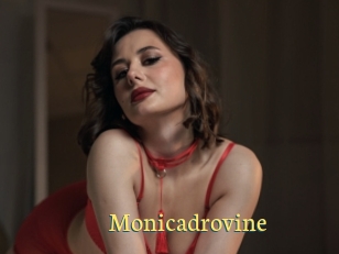 Monicadrovine