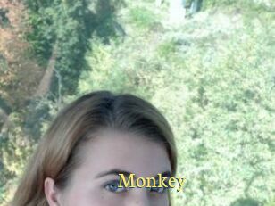 Monkey