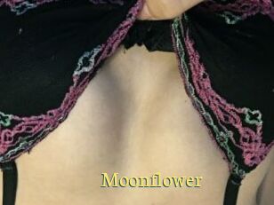 Moonflower