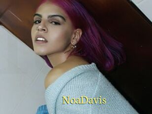 NoaDavis