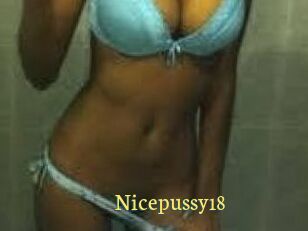 Nicepussy18