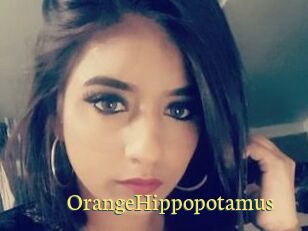 OrangeHippopotamus