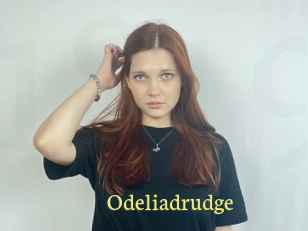 Odeliadrudge