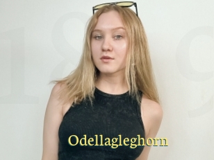 Odellagleghorn