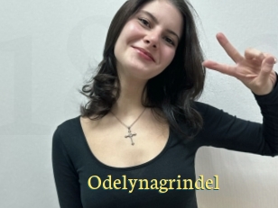 Odelynagrindel
