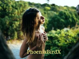 PhoenixBirdX