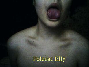 Polecat_Elly