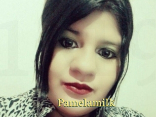 Pamelasuite