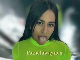 Pamelawaynex