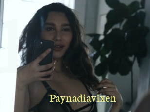 Paynadiavixen
