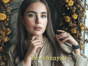 Peacebunyan