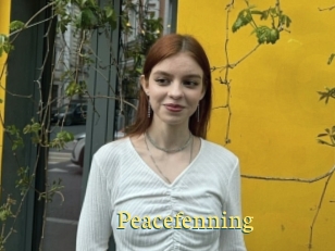 Peacefenning