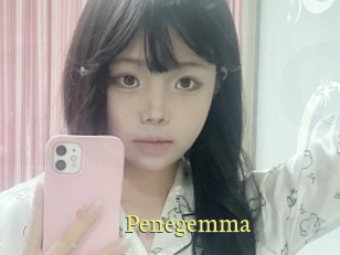 Penegemma