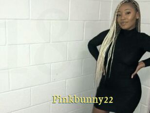 Pinkbunny22