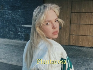 Plantarosa