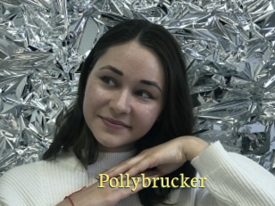 Pollybrucker